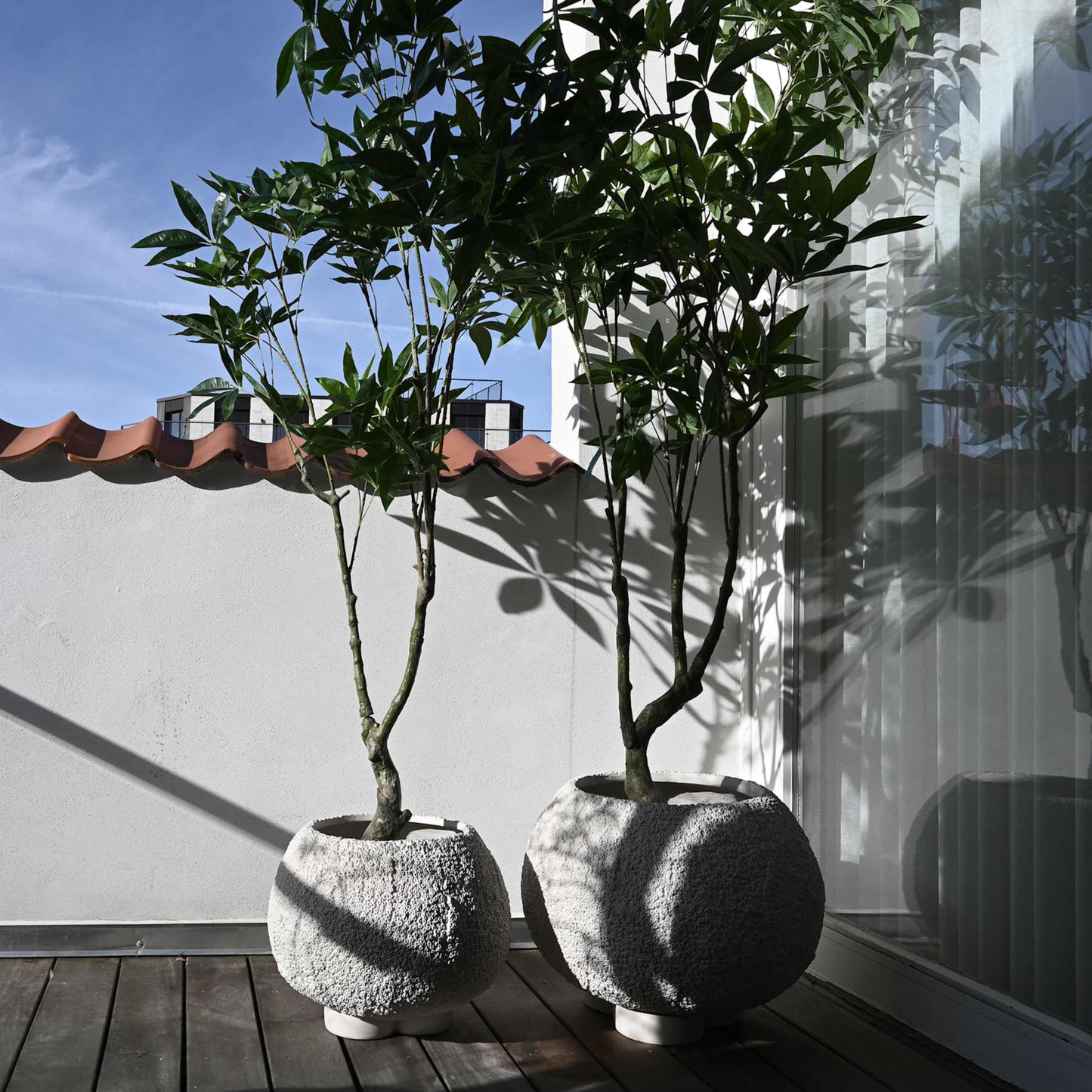 Urchin Plant Pot, Medio - Beehive