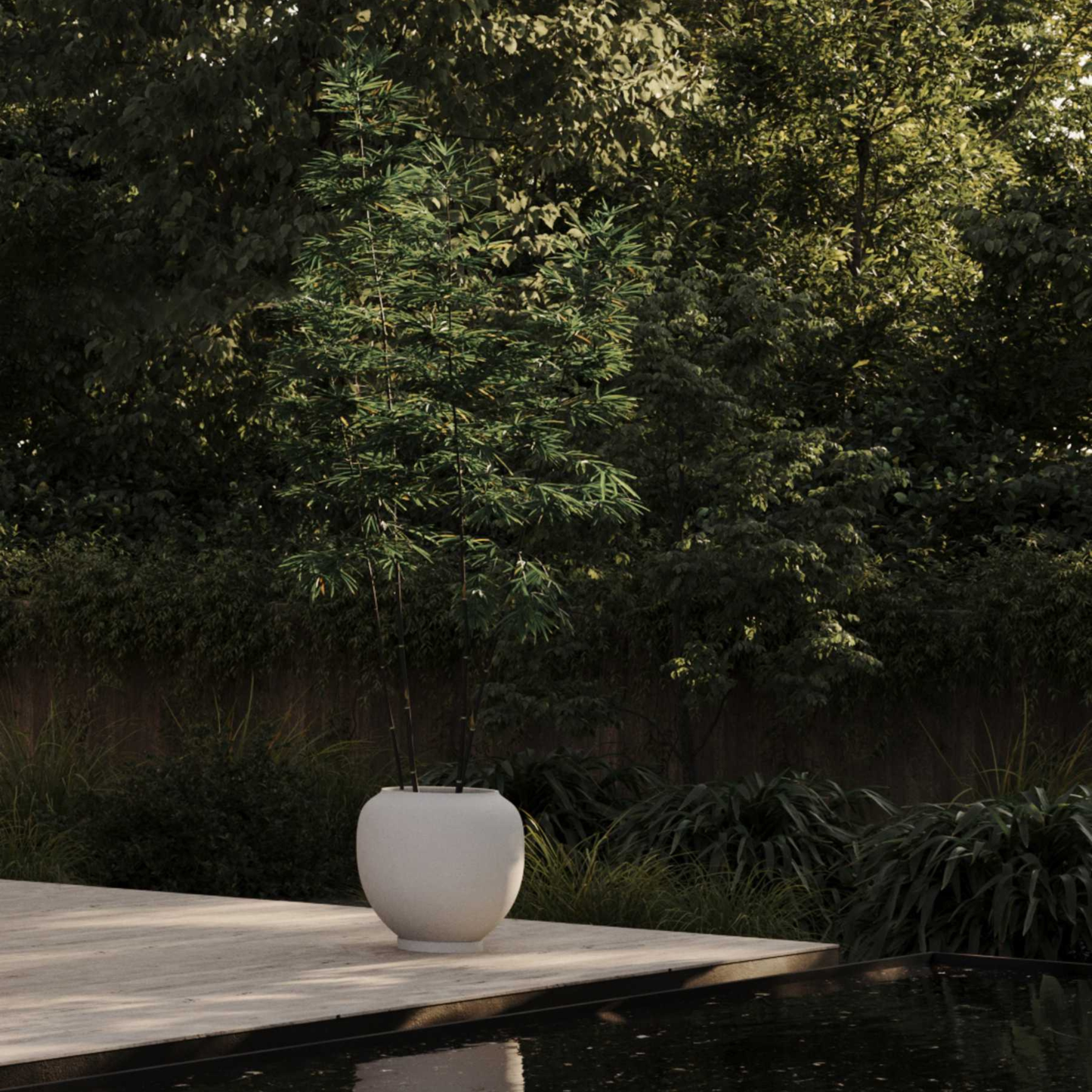 Sunao Plant Pot, Hexa - Birch